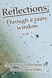  Sean Noseworthey - Reflections; Through a rainy  window - Reflections; Through a Rainy Window, #2.