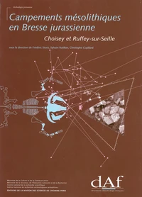 Campements mésolithiques en Bresse jurassienne : Choisey et Ruffey-sur-Seille
