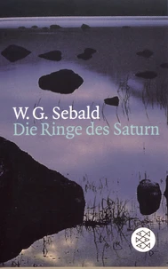 Die Ringe des Saturn