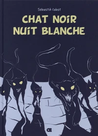 Chat noir, nuit blanche