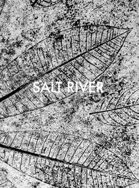 Téléchargez le livre epub gratuit Salt River 