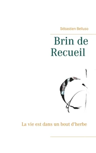 Brin de recueil