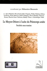 Le Moyen-Orient à l'aube du Printemps arabe