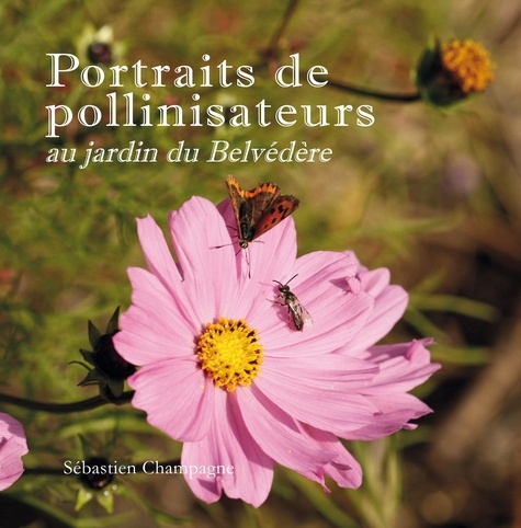 Sebastien Champagne - Portraits de pollinisateurs au jardin du Belvédère.