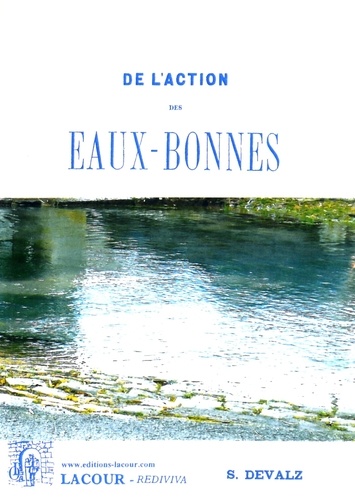 Sébastien Devalz - De l'action des Eaux-Bonnes.
