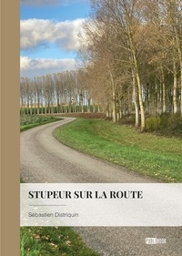 Sébastien Distriquin - Stupeur sur la route.