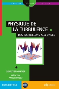 Sébastien Galtier - Physique de la turbulence - Des tourbillons aux ondes.
