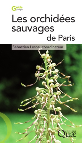 Les orchidées sauvages de Paris