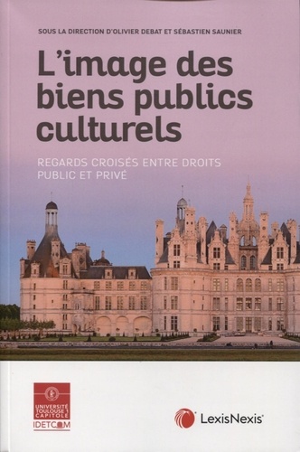 L'image des biens publics culturels. Regards croisés entre droits public et privé