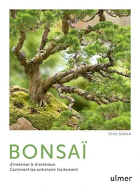 Bonsaï