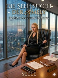 Die Sehnsucht der Amely Band 6: Karriere in Seide