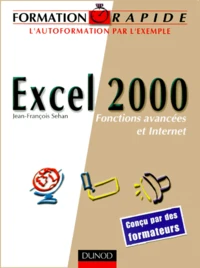Excel 2000. Fonctions Avancees Et Internet