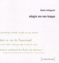 Adagio ma non troppo