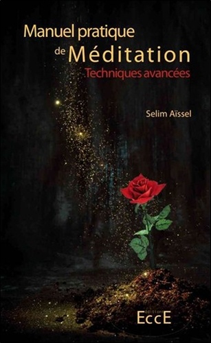 Selim Aïssel - Manuel pratique de méditation - Tome 2, Techniques avancées.