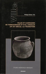 De la Tarraconaise à la Marche Supérieure d'al-Andalus (IVe-XIe siècle) : les habitats ruraux