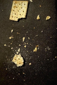 Stale Crackers