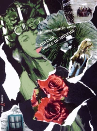 Collage drôle de montage (1998-2014)