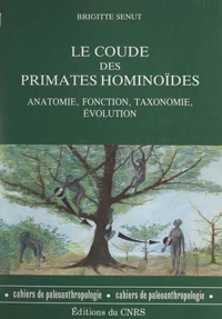 Le coude des primates hominoïdes