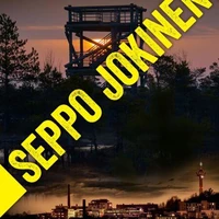 Siipirikkoiset
