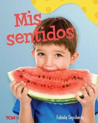 Mis sentidos