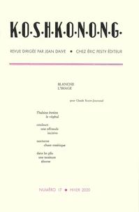 Koshkonong N° 17