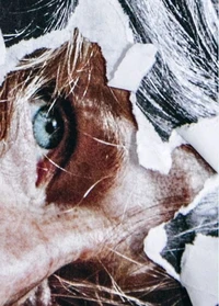 Je vous écris avec la chair des mots