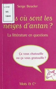 Mais Ou Sont Les Neiges D'Antan ? La Litterature En Questions