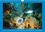 CALVENDO Animaux  Le monde sous marin de Méditerranée (Calendrier mural 2020 DIN A4 horizontal). Les merveilles de la Méditerranée (Calendrier mensuel, 14 Pages )