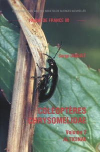 Coléoptères Chrysomelidae