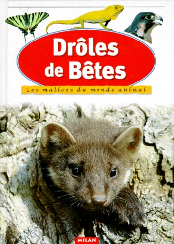 Serge Lathiere et Guilhem Lesaffre - Droles De Betes. Les Malices Du Monde Animal.