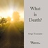 Serge Toussaint - What is Death ?.