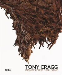 Tony Cragg