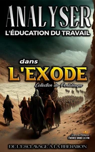 Analyse de L'enseignement du Travail dans l'Exode: De L'esclavage à la Libération
