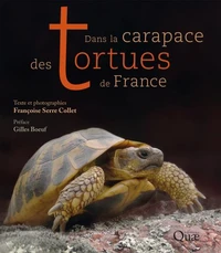Dans la carapace des tortues de France