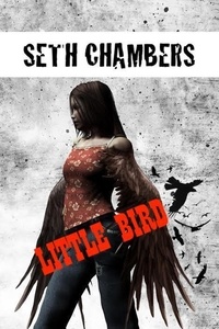  Seth Chambers - Little Bird.