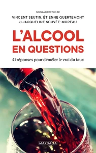 L'alcool en questions