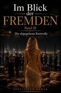 Im Blick der Fremden 3