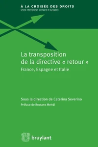 La transposition de la directive "retour"