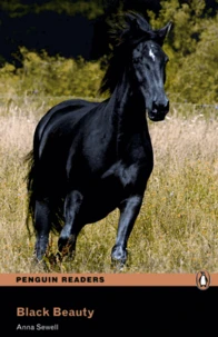 Black beauty.