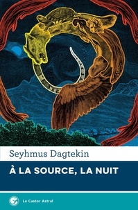 Seyhmus Dagtekin - A la source, la nuit.