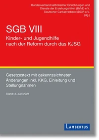 SGB VIII - Kinder- und Jugendhilfe nach der Reform durch das KJSG
