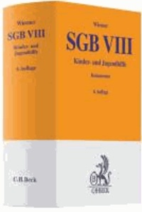 SGB VIII - Kinder- und Jugendhilfe.