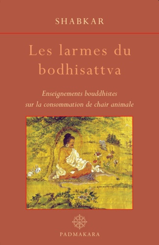 Les larmes du bodhisattva