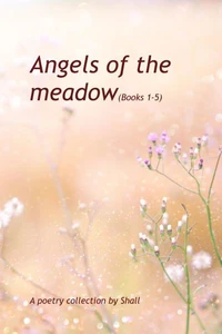 Angels of the Meadow - Books 1-5