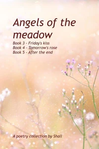 Angels of the Meadow - Books 3-5