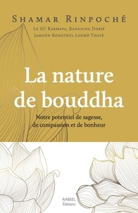  Shamar Rinpoché - La nature de Bouddha.