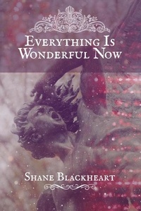Google books téléchargement complet Everything Is Wonderful Now en francais par Shane Blackheart CHM FB2 PDF