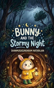 Bunny and the Stormy Night