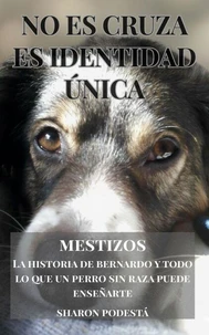 MESTIZOS. NO ES CRUZA. ES IDENTIDAD ÚNICA