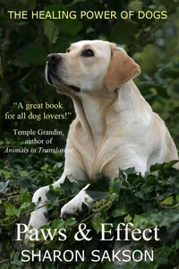 Paws &amp; Effect: The Healing Power of Dogs